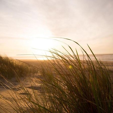 Kleine Nordseewelle Ohne Hund นอร์เดน ภายนอก รูปภาพ