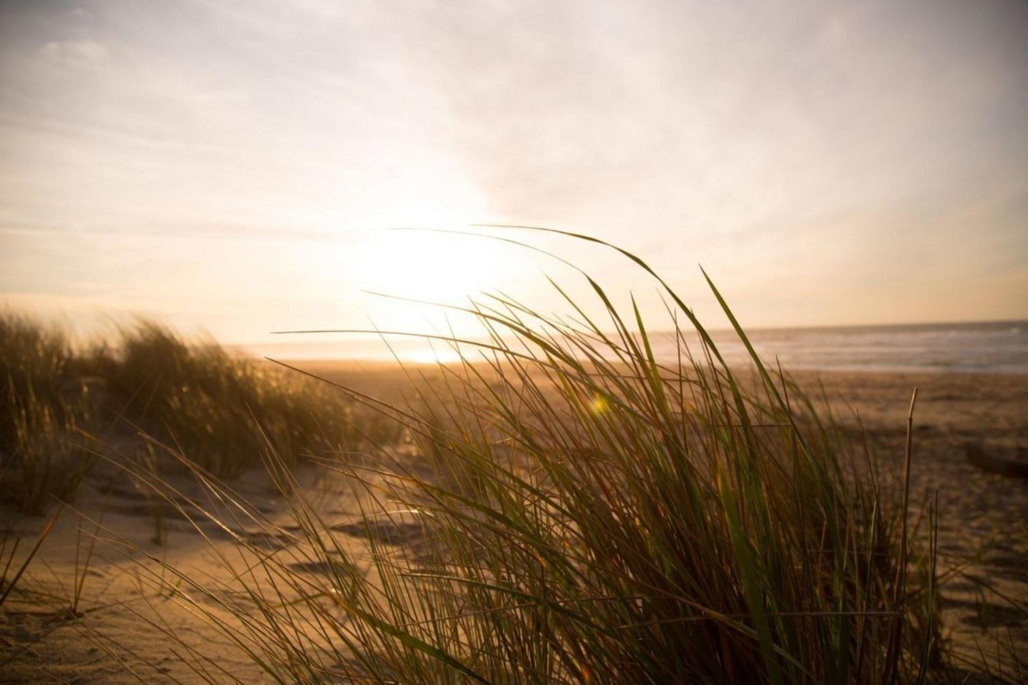 Kleine Nordseewelle Ohne Hund นอร์เดน ภายนอก รูปภาพ