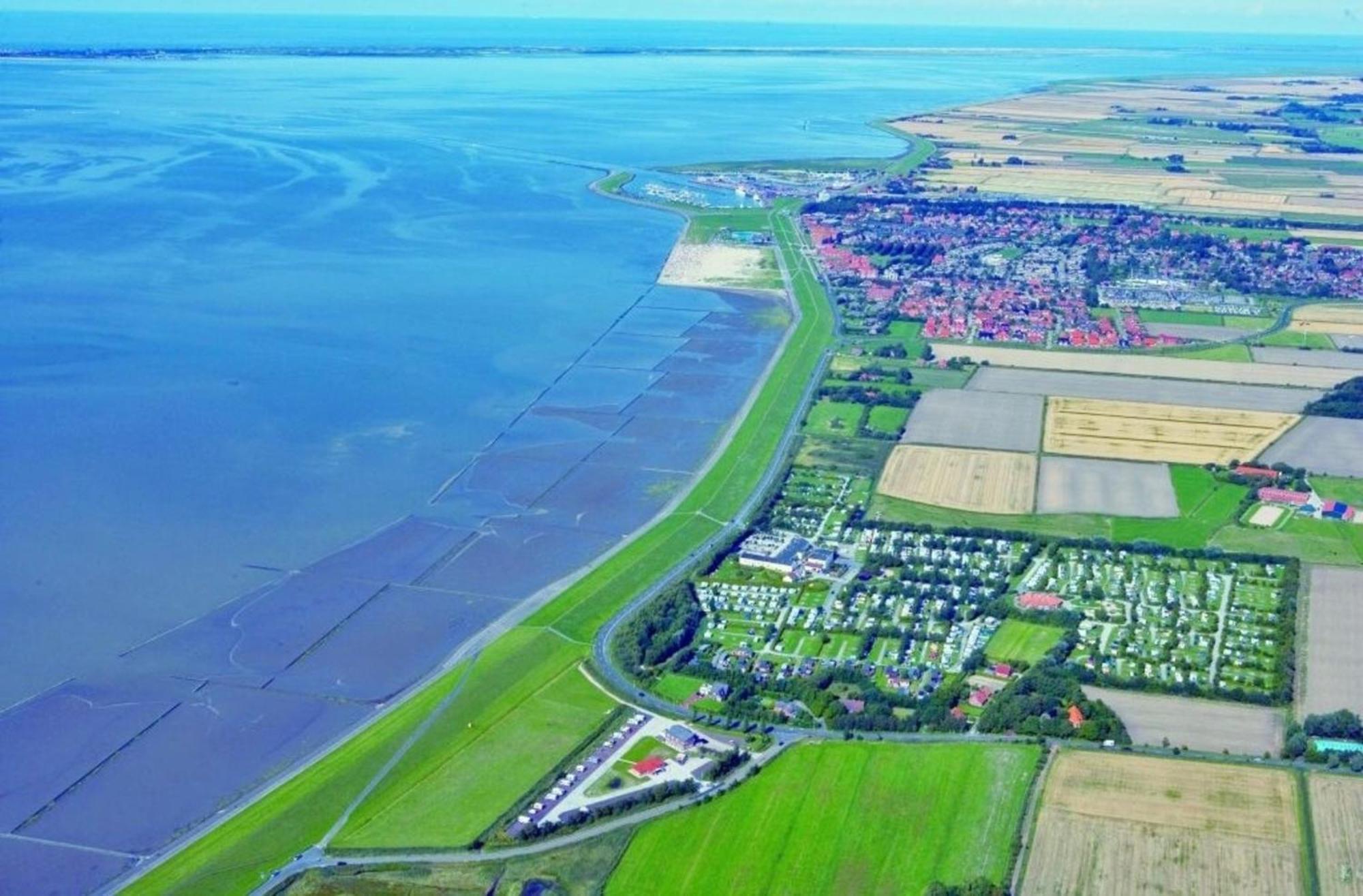 Kleine Nordseewelle Ohne Hund นอร์เดน ภายนอก รูปภาพ
